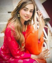 ۞ !~!9643330202!~!۞ Call Girls in Sector 21 Noida Escorts